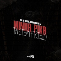 Minha Pika Tá Sem Freio - DJ VINICIN DO SJ & MC RD OFICIAL