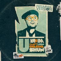 Hidden Treasure - DJ Vadim