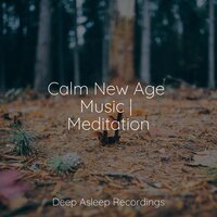 Ocean Waves - Spa Zen & The White Noise Zen & Meditation Sound Lab & Baby Sweet Dream