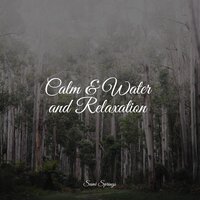 Stormy, Rainy Night - ZEN & Spa Zen & Calm Down