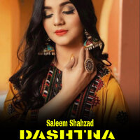 GANOKAS NA - Saleem Shahzad