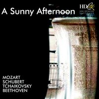 Music to Rosamunde, D. 797 (Op. 26) : II. Intermezzo No.2 : Andantino - St. Petersburg Orchestra of the State Hermitage Museum Camerata & Saulus Sondetskis & Франц Шуберт