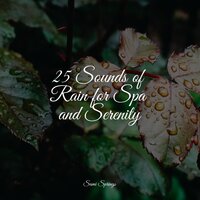 Beachside Rain - Happy Baby Lullaby Collection & Relaxing Sleep Music & Thunder Storm