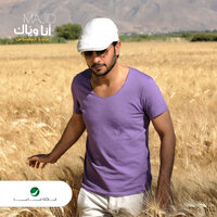 Bayen Ghalaa - Majid Almohandis