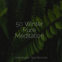 Massage Therapy - Ambient Nature Project & Nature Sounds for Concentration & Spa Zen