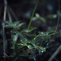 Window Rains - Meditation Relaxation Club & Regengeräusche & Naturaleza Relajacion