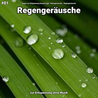 Regengeräusche, pt. 71 - Regen zur Entspannung Susanna Igel & Naturgeräusche & Regengeräusche