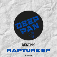 In The Shadows - Destiny