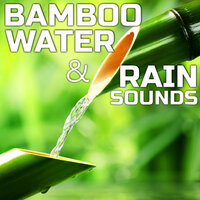 Bamboo Water & Rain Therapy Healing - Bamboo Water & Rain Sounds & Atmospheres Soundscapes & NatGeo Soundscapes