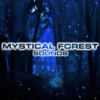 Night Forest Mystic Sounds - Mystical Forest Sounds & National Geographic Nature Sounds & Nature Sounds New Age & White Noise Sounds For Sleep & National Geographic Soundscapes & Animals Sounds