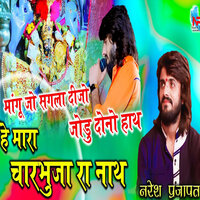 He Mara Charbhuja Ra Nath Mangu Jo Saglo Dijo Jodu Dono Hath - Naresh Prajapat