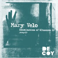 Examination of Witnesses - Mary Velo