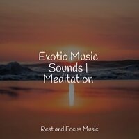Sleep Soundtrack - Schlaflieder Für Kinder & Childrens Music & Chakra Meditation Universe
