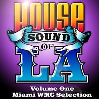 Let Go (feat. Amy Keys) [BL Dub] - Blackliquid & Amy Keys