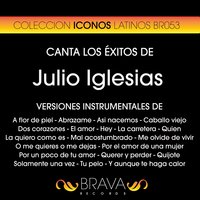Por un Poco de Tu Amor - Brava HitMakers