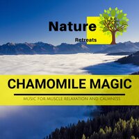 Immaculate Thinking - Power Yoga Nature Sounds