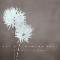 The Harvest - Cello Cloud & Lightseeds