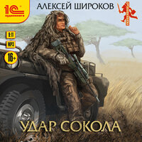 Алексей Широков. «Удар сокола». Часть 1 - Дмитрий Рыбин