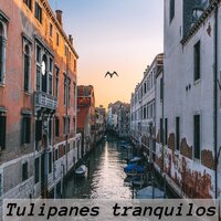 Tulipanes tranquilos - Música Religiosa y Curativa