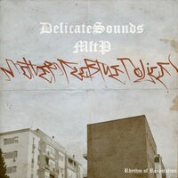 Rhythm of Respiration - DelicateSounds & MFTP & Afridance & DelicateSounds feat. MFTP, Afridance