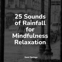 Grassland, Raven, Animal Calls, Wind - Baby Sleep Lullaby Academy & Relaxamento & White Noise for Deeper Sleep