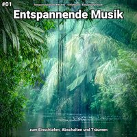 Ich werde ruhig für Ausgeglichenheit - Entspannungsmusik Willi Antz & Schlafmusik & Entspannungsmusik