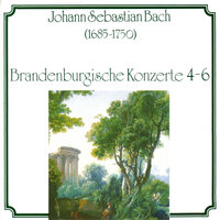 Brandenburgisches Konzert Nr. 5 D-Dur BWV 1050 - II. Affettuoso - Baroque Studio Orchestra & Karel Brazda & Johann Sebastian Bach