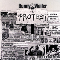 Scheme Of Things - Bunny Wailer