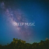 good night sleep - Lico