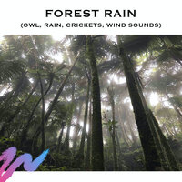 Forest Rain Sounds (Loopable) - Baby Sleep Spot & Forest Rain Sounds & Rain Sounds