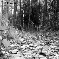 Glede - Dr. Cikoriy