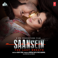Tum Ho Mere - Najam Bajwa & Vivek kar