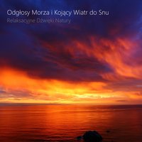 Spacer po Plaży (Dźwięki Natury do Spania) - Relaksacyjne Dźwięki Natury & Muzyka do Snu