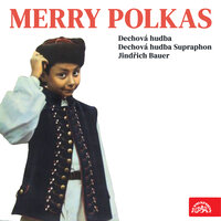 Vajnorská polka - Dechová hudba & Jindřich Bauer