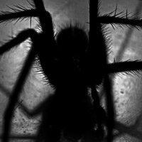 Chilling Soundscapes - Halloween Masters & Monster's Halloween Party & Halloween Horror