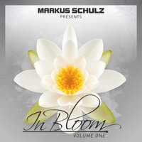 Wild Dream - Andy Moor