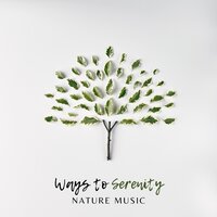 Ways to Serenity - Calm Music Zone