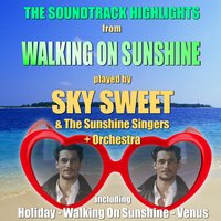 If I Could Turn Back Time - Sky Sweet & The Sunshine Singers & The Sunshine Singers & Sky Sweet