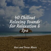 Profound Flow - Anxiety Relief & Meditação Maestro & Spa & Spa