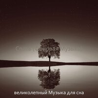 Музыка (Работа) - великолепный Музыка для сна