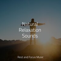 Tumbling Outward - Entspannungsmusik Oase & Sleep Waves & Trouble Sleeping Music Universe