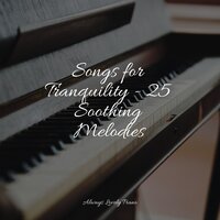 Sunny Sages - Relaxing Piano Music Consort & Relaxing Classical Piano Music & Chillout Lounge Relax