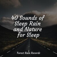 Gentle Fire Crackling - Soothing Nature Sounds & Rainy Sounds & Pure Serenity Spa Music & Massage Collective Garden & Zen Relaxation Meditation