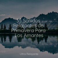 La Repetición Más Suave - Yoga Para Ninos & Sonidos de la Naturaleza Relajacion & Música para Relajarse Profundamente