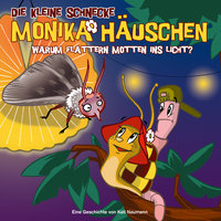 Warum flattern Motten ins Licht? - Teil 05 - Die kleine Schnecke Monika Häuschen & Tom Deininger & Tobias Künzel & Kathrin Bachmann & Steffen Lukas & Eileen Mägel