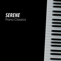 Bach's Variatio 28 a 2 Clav - Piano Shades