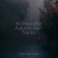 Waves, Ocean, Seagulls - Loopable Rain & Nature Soundscape & Nature Music Pregnancy Academy