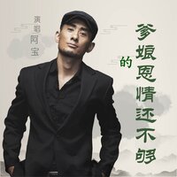 张灯结彩 - 阿宝