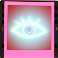 What Do You See? - Zeltor Kemp