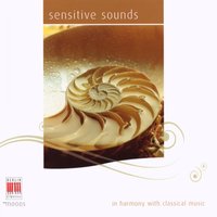 2. Andante ma non troppo - Staatskapelle Dresden conducted by Herbert Blomstedt, Johannes Walter & Staatskapelle Dresden & Herbert Blomstedt & Вольфганг Амадей Моцарт
